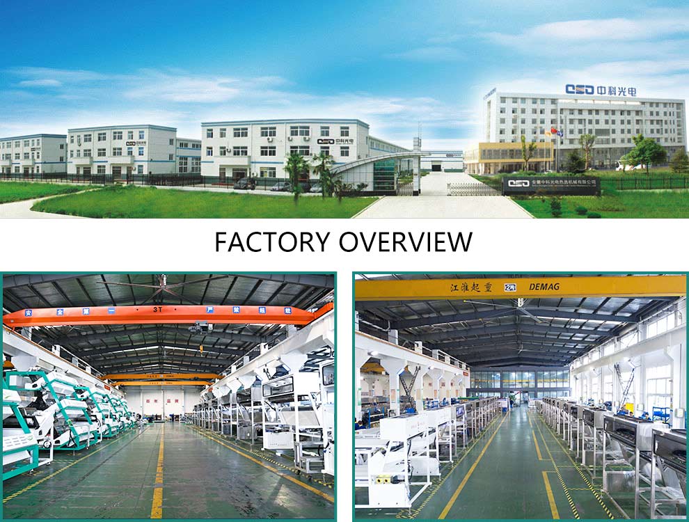 amd factory