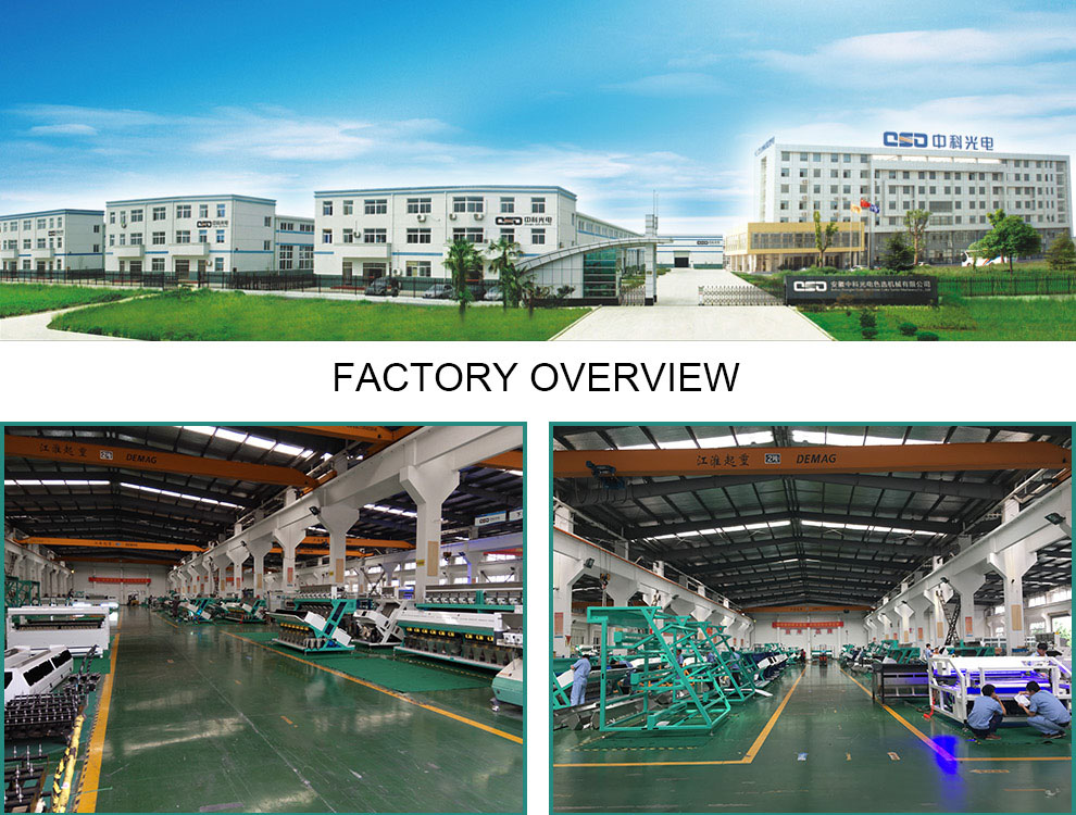 amd factory